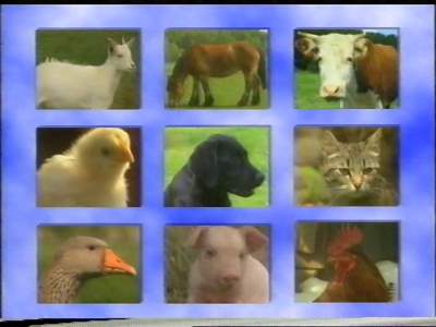 Dyrene på bondegården  VHS Minerva Film Video A/S 1998